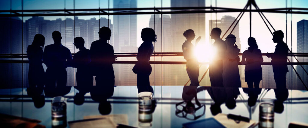 netværk for professionel udvikling